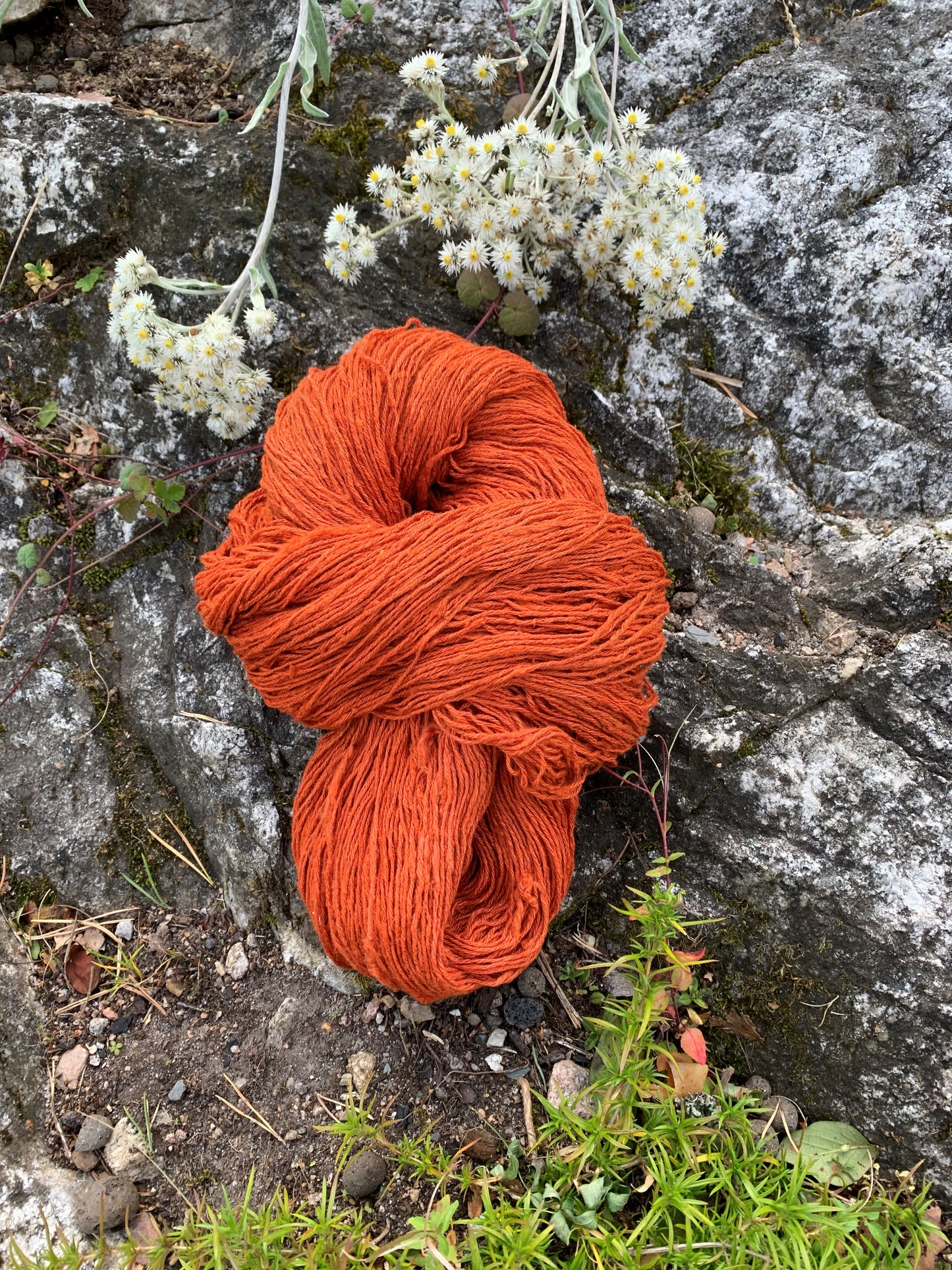 Strikkegarn i silke. Farge: Mild Mandarin