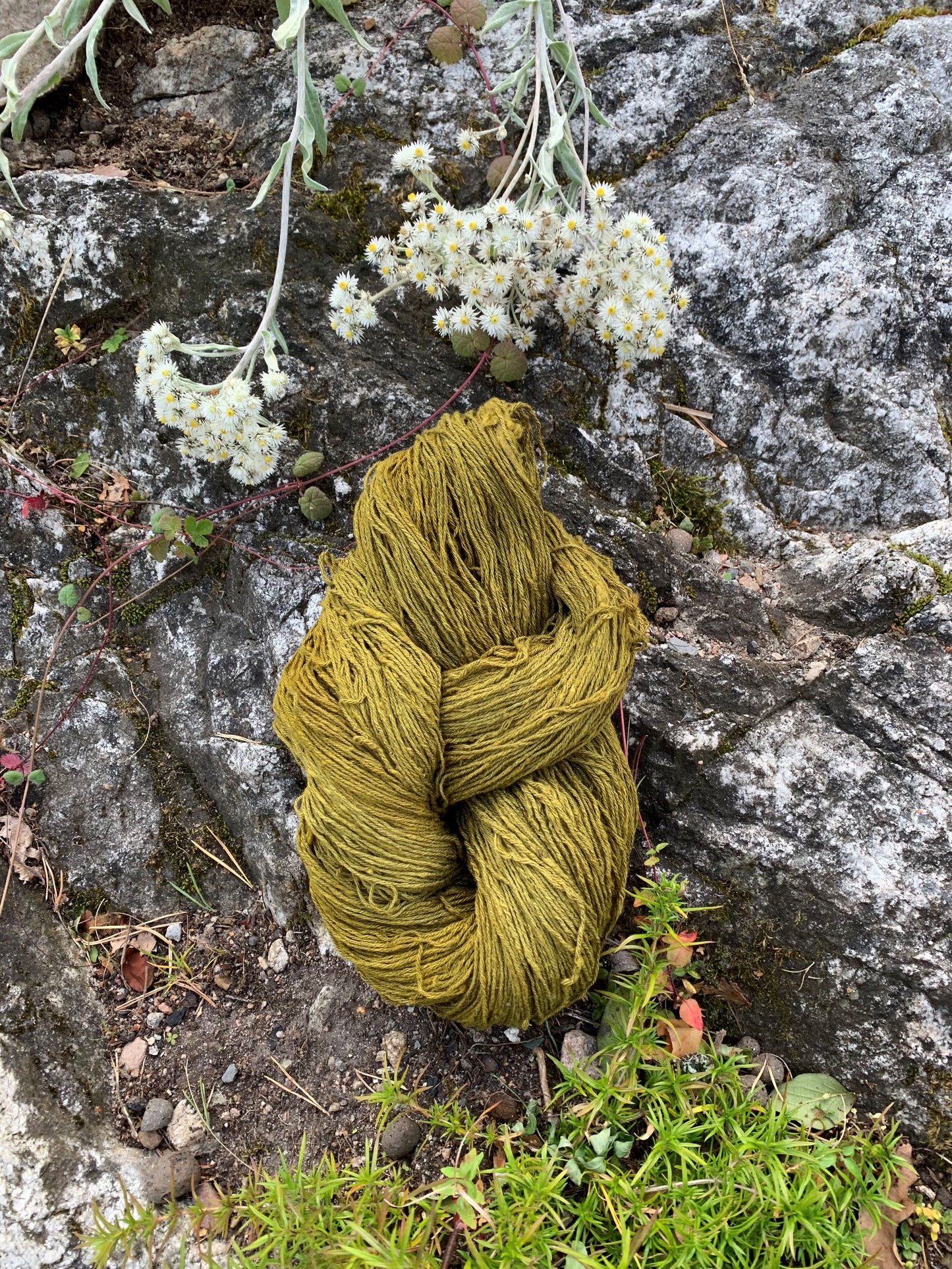 Strikkegarn i silke. Farge: Oliven